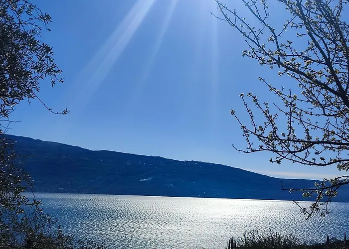 Apartmán L'uliveto *