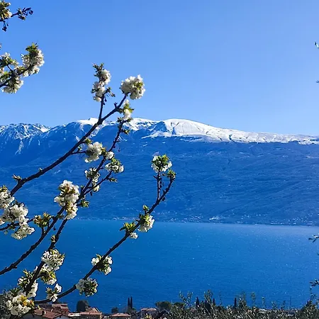 L'uliveto Apartman *